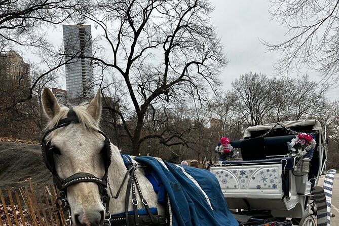 Horse Carriage Tour Through Central Park, NYC SINCE 1903 - Key Points