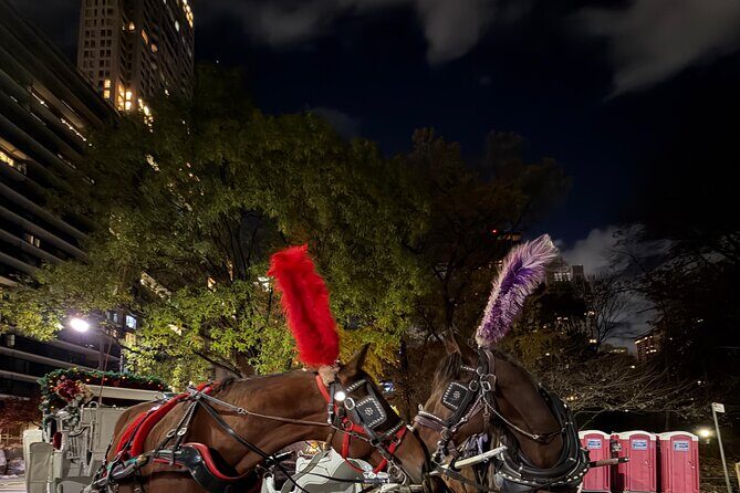 Horse Carriage Tour Through Central Park, NYC SINCE 1903 - Exploring the Central Park Horse Carriage Tour