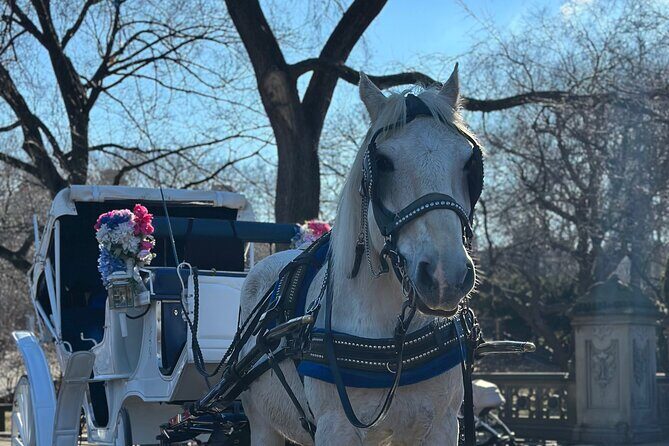 Horse Carriage Tour Through Central Park, NYC SINCE 1903 - Who Is This Tour Best Suited For?
