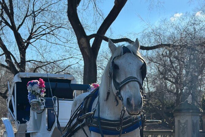Horse Carriage Tour Through Central Park, NYC SINCE 1903 - FAQs