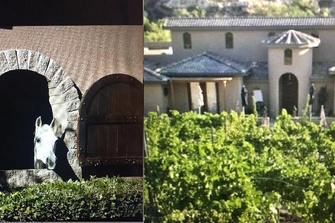Horse Country Estate and Vineyard Wine Tasting Tour - A Full Breakdown of the Horse Country Estate and Vineyard Tour