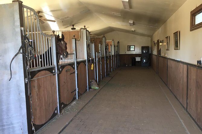Horse Country Estate and Vineyard Wine Tasting Tour - Final Thoughts: Who Should Consider This Tour?