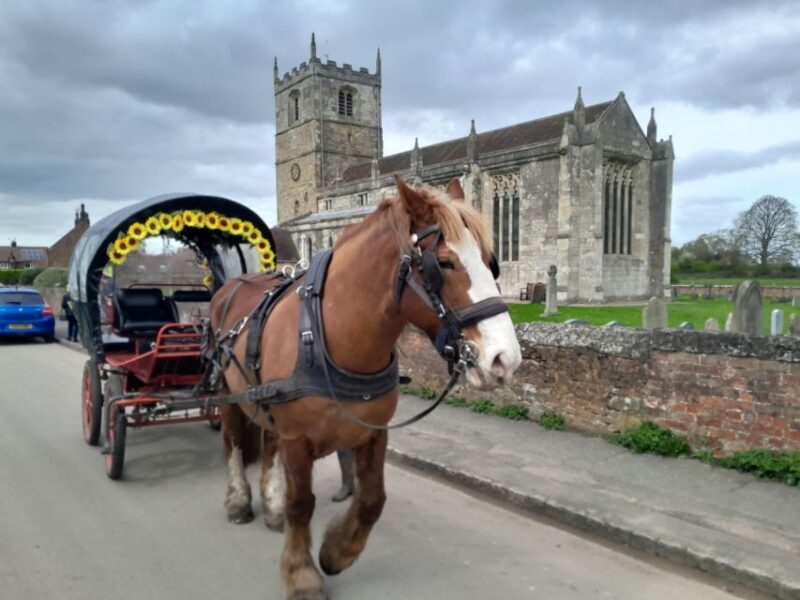 Horse drawn carriage ride and Picnic Hamper - FAQ