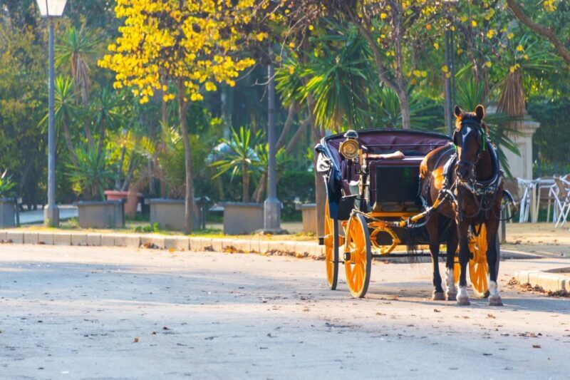 Horse-Drawn Carriage Ride Through Seville - The Sum Up: Is It Worth It?
