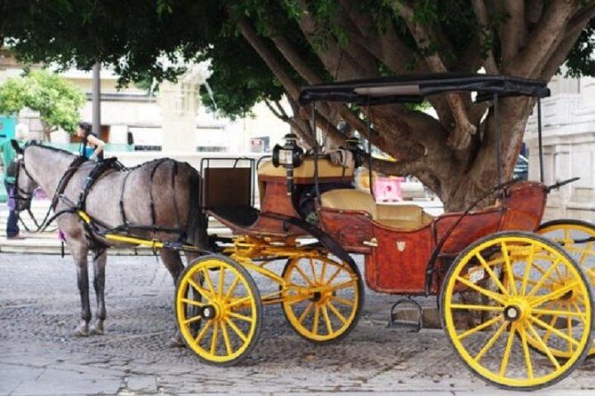 Horse-Drawn Carriage Ride through Seville - What You Can Expect From This Tour