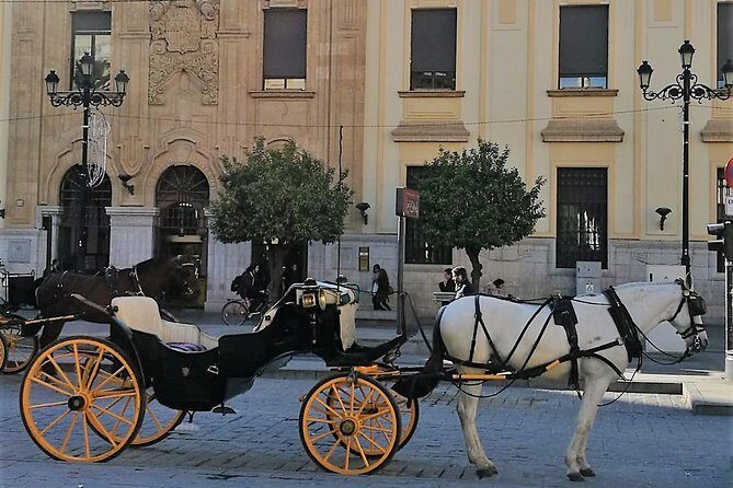 Horse-Drawn Carriage Ride through Seville - Who Will Appreciate This Tour?