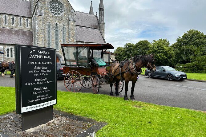 Horse-Drawn Carriage Tours in Killarney - Exploring the Itinerary in Detail