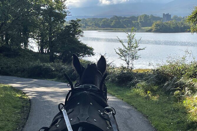 Horse-Drawn Carriage Tours in Killarney - The Value of This Experience