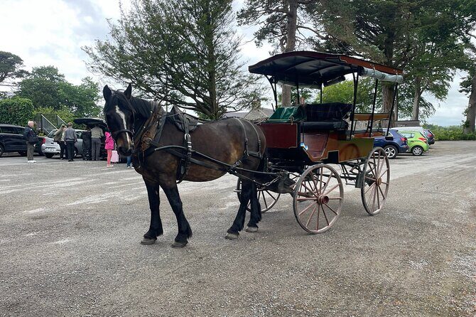 Horse-Drawn Carriage Tours in Killarney - Who Will Love This Tour?