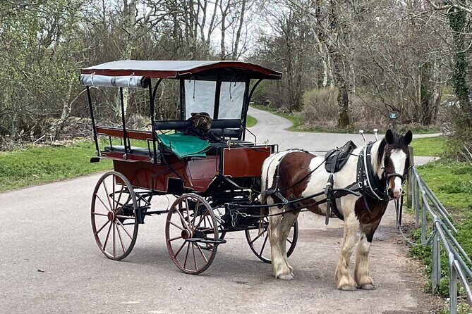 Horse-Drawn Carriage Tours in Killarney - Final Thoughts