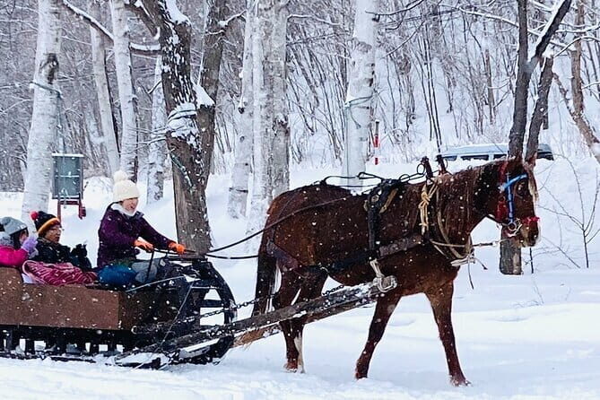 Horse-drawn sleigh & making local cuisine - Key Points
