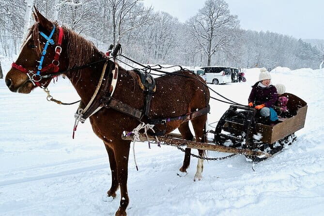Horse-drawn sleigh & making local cuisine - An In-Depth Look at the Tour Experience