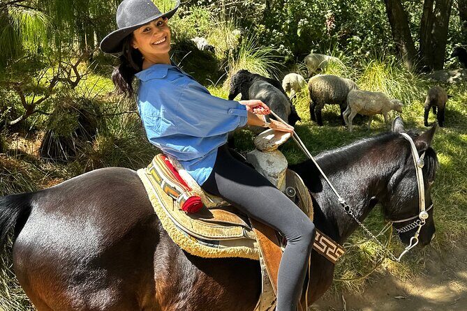 Horse experience with my family - Practical Details