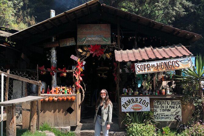 Horse experience with my family - The Sum Up