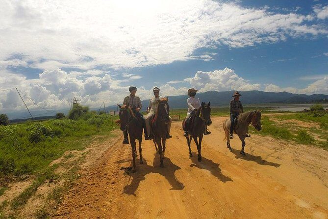 Horse Lesson+Riding+Wat Tonkwen wooden temple.Chiangmai - Authentic Insights from Reviewers