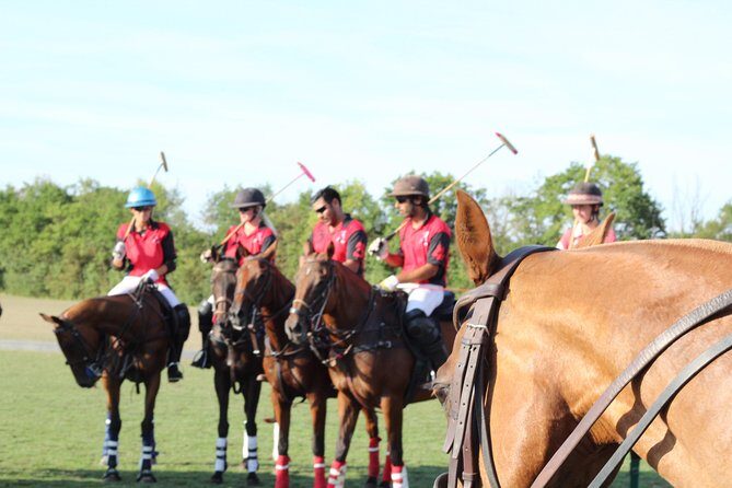 Horse & Polo in Windsor, UK - Key Points