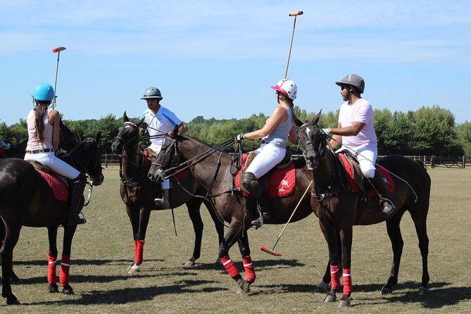 Horse & Polo in Windsor, UK - Analyzing the Experience’s Value