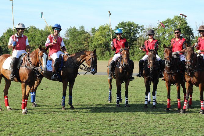 Horse & Polo in Windsor, UK - FAQ