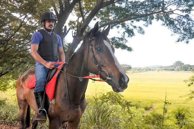 Horse Ride around a Village from Habarana - Key Points