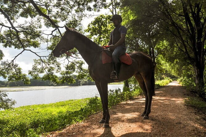 Horse Ride around a Village from Habarana - What to Expect from the Horse Ride around a Village