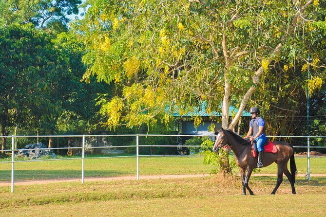 Horse Ride around a Village from Habarana - Why Choose This Tour?