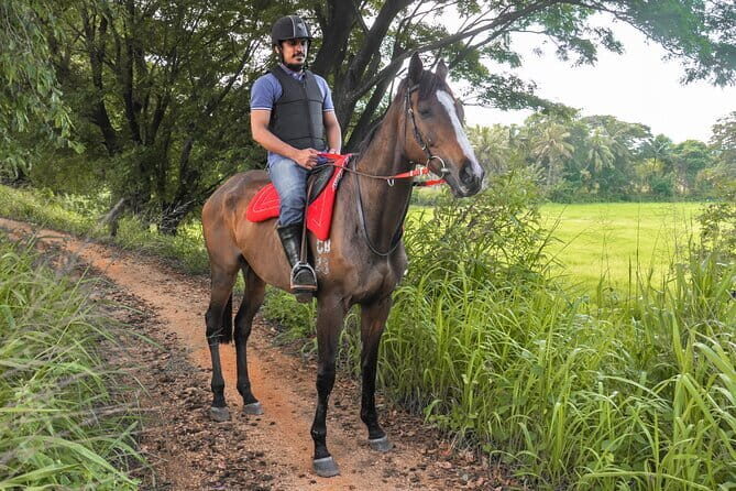 Horse Ride around a Village from Habarana - FAQ