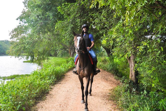 Horse Ride around a Village from Sigiriya - Exploring the Experience in Detail