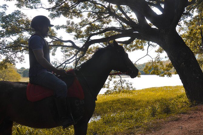 Horse Ride around a Village from Sigiriya - FAQs