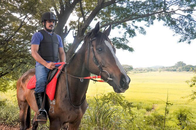 Horse Ride Experience from Dambulla - Key Points