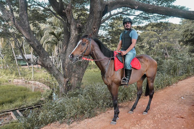 Horse Ride Experience from Dambulla - What to Expect from the Horse Ride Experience