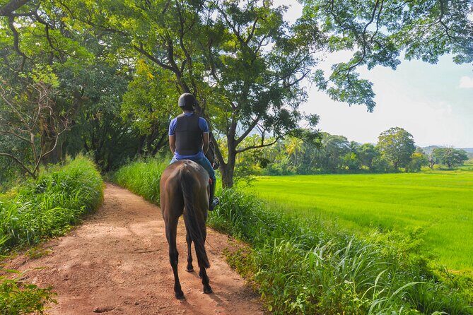 Horse Ride Experience from Dambulla - Who Is This Tour Best For?