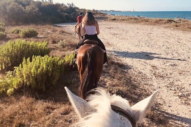 Horse ride in a Salento Nature Reserve with transfer from Lecce - FAQ About the Horse Ride in Salento Nature Reserve