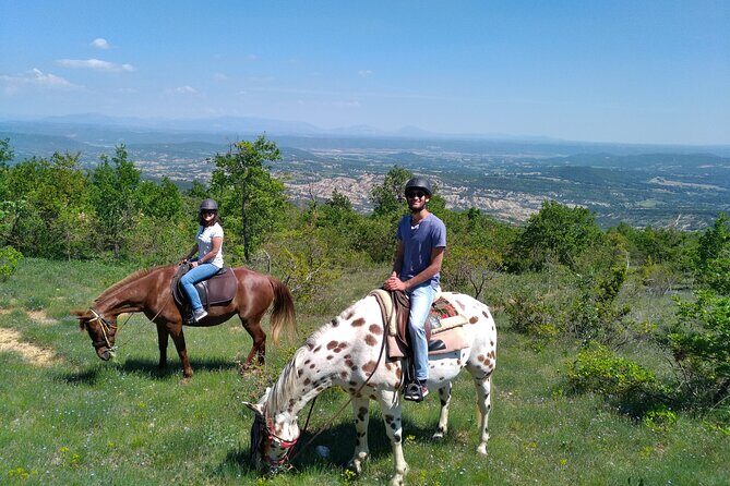 Horse ride in Haute Provence Luberon and Forcalquier - An In-Depth Look at the Horseback Riding Experience in Haute Provence