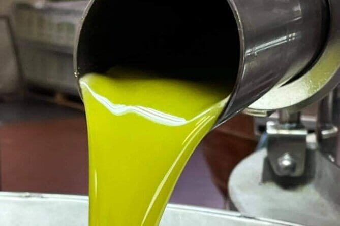 Horse ride, Olive Oil and local foods tasting in a Tuscan farm - An In-Depth Look at the Tuscany Horse Ride and Food Tasting Tour