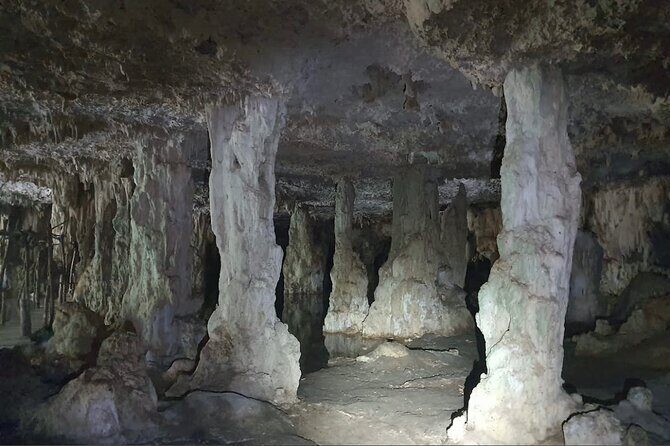 Horse Ride to Cenote Mil Columnas - A Detailed Look at the Horse Ride to Cenote Mil Columnas