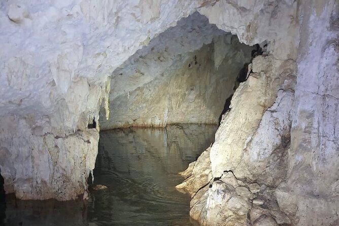 Horse Ride to Cenote Mil Columnas - The Sum Up: Is It Worth It?