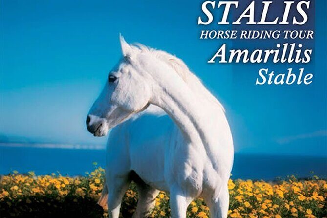 HORSE RIDING 1.5 hours mountains from area Hersonissos CRETE - An In-Depth Look at the Horse Riding Tour in Crete