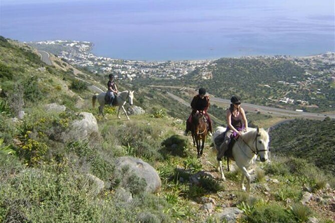 HORSE RIDING 1.5 hours mountains from area Hersonissos CRETE - Who Will Love This Experience?