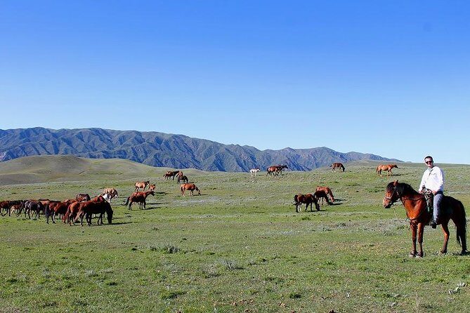 Horse riding adventure in mountains! - Key Points