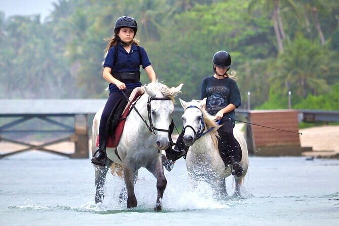 Horse Riding and Beach Trails on Koh Samui - An In-Depth Look at the Koh Samui Horse Riding Experience