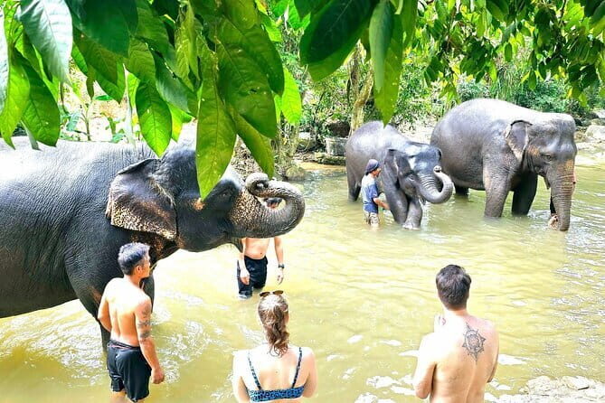 Horse Riding and Beach Trails on Koh Samui - The Sum Up