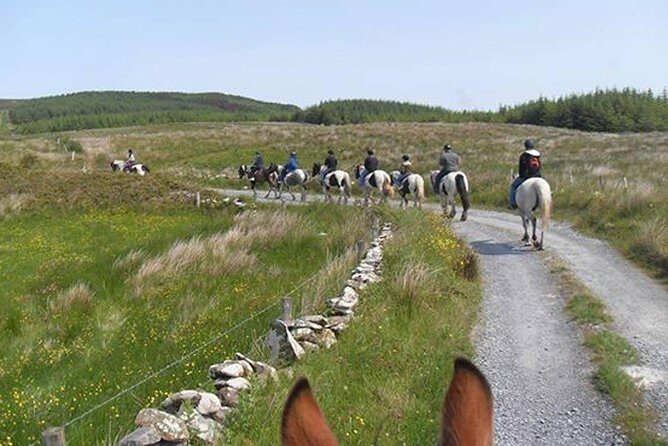 Horse riding - Burren Trail. Lisdoonvarna, Co Clare. Guided. 3 hours. - Deep Dive into the Itinerary