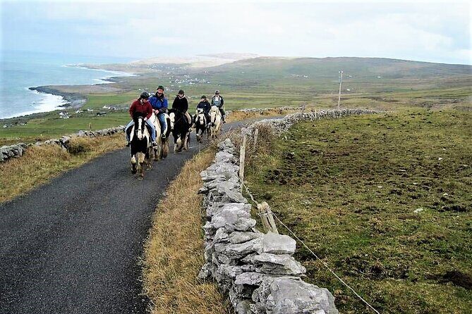 Horse riding - Dirt Trek Trail. Lisdoonvarna, Clare. Guided. 1 hour. - Discovering the Irish Countryside on Horseback