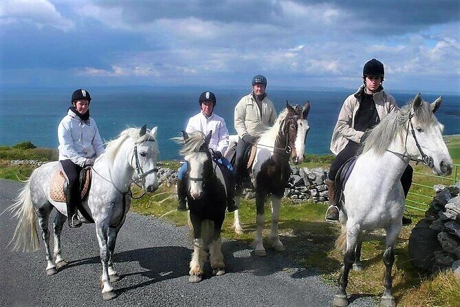 Horse riding - Dirt Trek Trail. Lisdoonvarna, Clare. Guided. 1 hour. - The Horses and Safety Measures