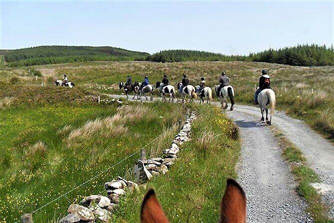 Horse riding - Dirt Trek Trail. Lisdoonvarna, Clare. Guided. 1 hour. - The Value for Money