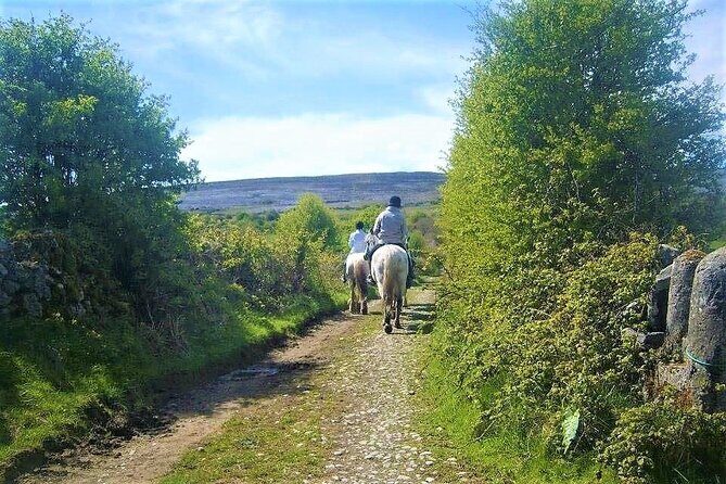 Horse riding - Dirt Trek Trail. Lisdoonvarna, Clare. Guided. 1 hour. - FAQ