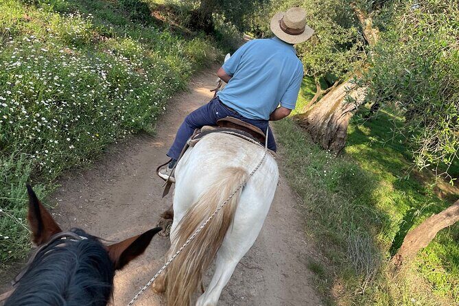 Horse riding excursion - FAQs