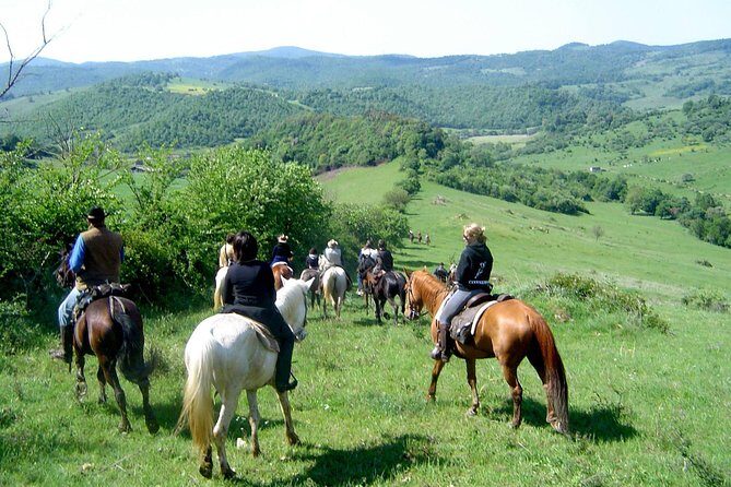 Horse riding excursion - Final Thoughts