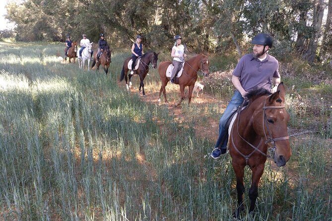 Horse Riding Excursion from Seville - FAQs