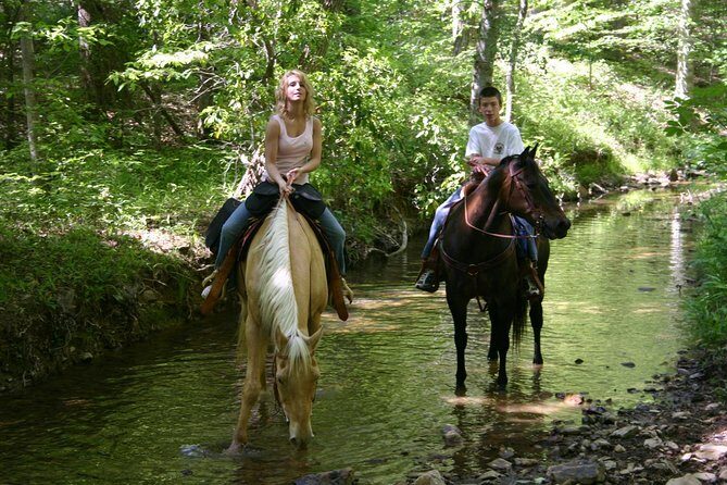 Horse Riding Experience in Marmaris with Transfer - Key Points